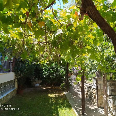 Morfili Villa Limenária Kültér fotó